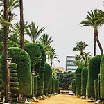 La Casa De Adolfo * Cádiz